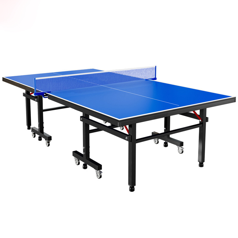 Professional Table Tennis Tabl – Table Tennis Training recenzja i cena