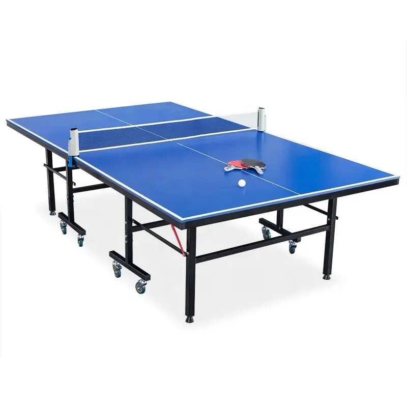 Professional Table Tennis Tabl – Table Tennis Training recenzja i cena
