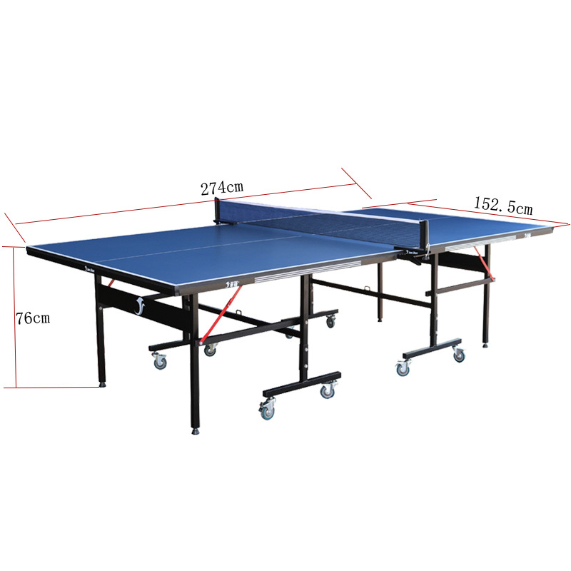 Professional Table Tennis Tabl – Table Tennis Training recenzja i cena