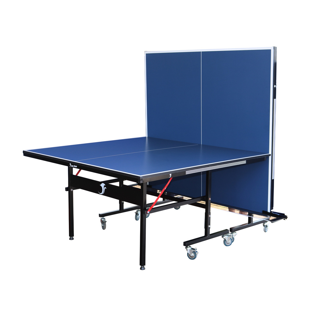 Professional Table Tennis Tabl – Table Tennis Training recenzja i cena