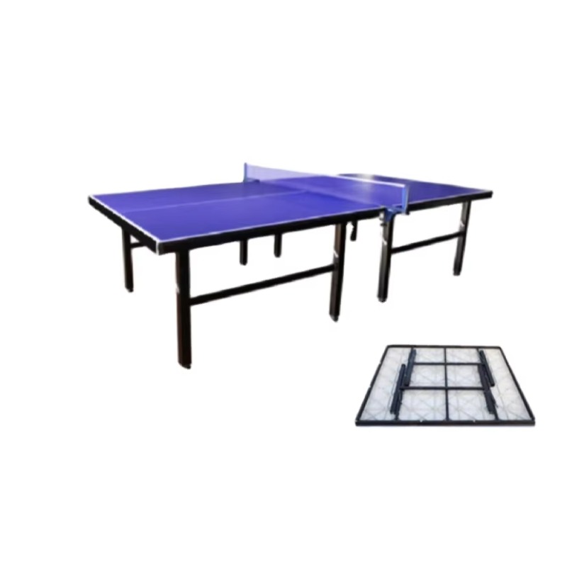 Hot Sale Approved Modern Luxur – Table Tennis Training recenzja i cena